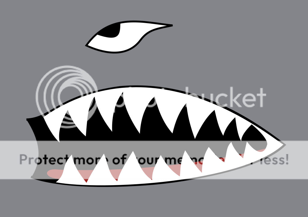 A-10 Shark Mouth Nose Art Photo by FlyingBoxHead | Photobucket