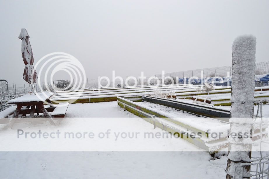 Snowy Spring Garden Snowy Spring Garden