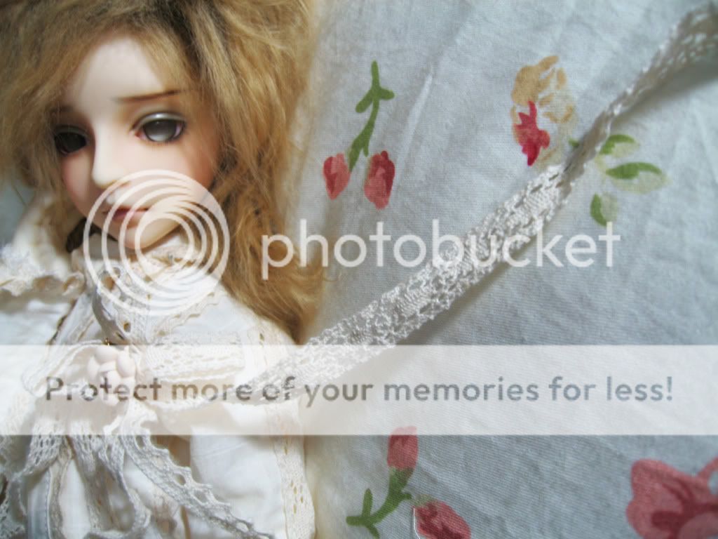 http://i928.photobucket.com/albums/ad125/yeonho/IMG_0370.jpg?t=1261286933