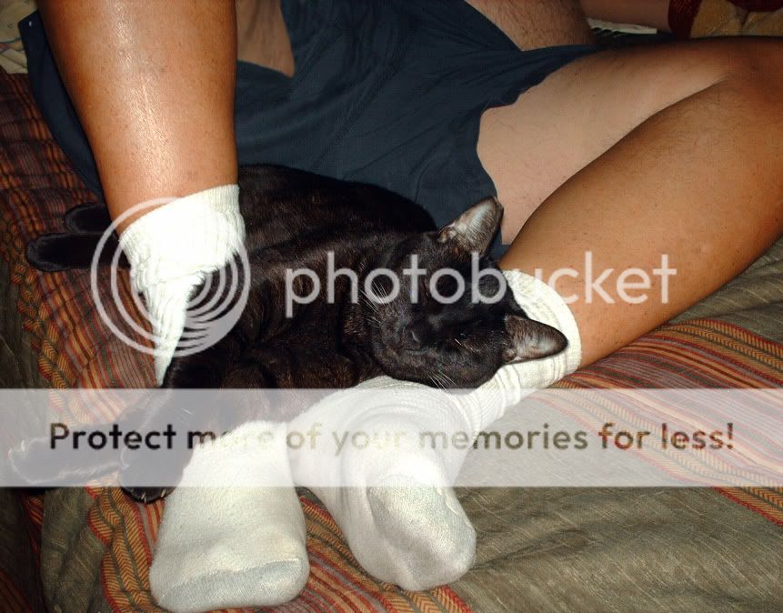 Photobucket