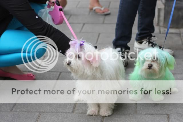 День красоты 