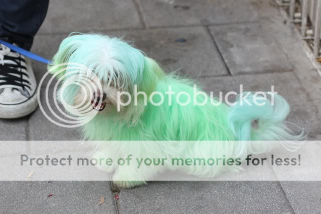 День красоты 