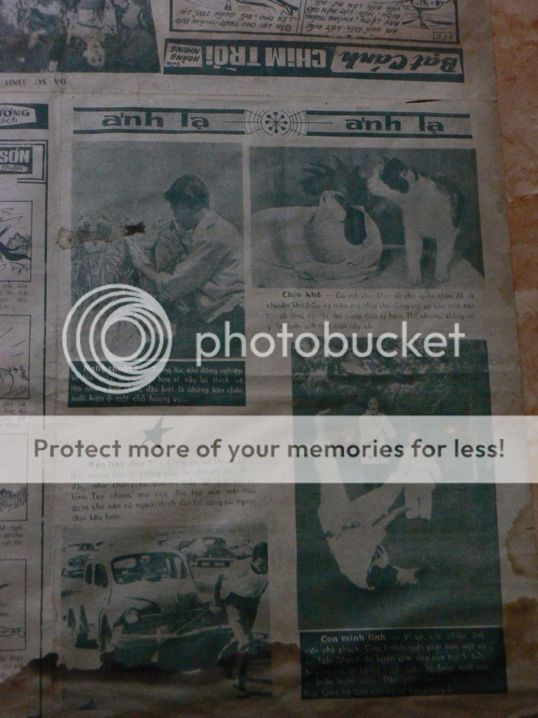 TỜ BÁO 46 NĂM - 10